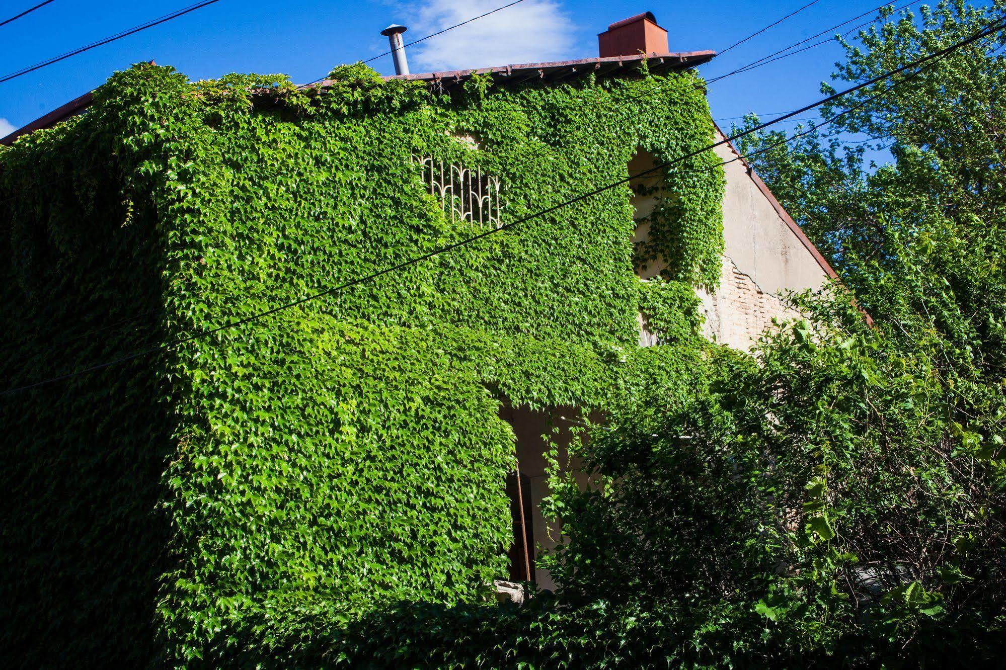 Flamingo Hotel Tbilisi Buitenkant foto